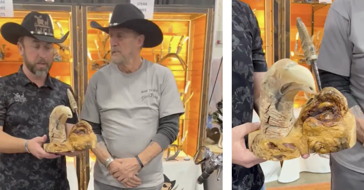 WCF Knife of the Year